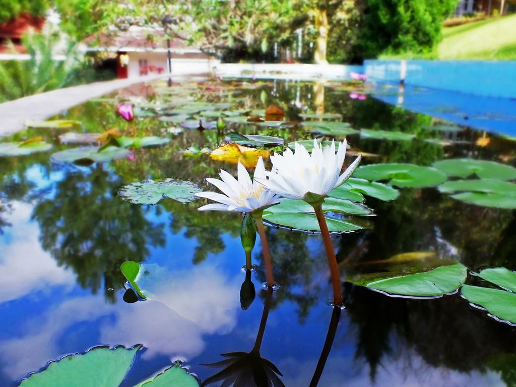 Royal Kalaw Hills Resort Екстериор снимка